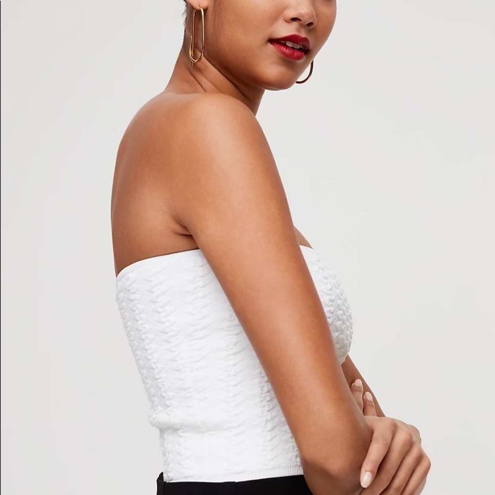 [NWOT] Babaton (ARITZIA) Essamba Tube Top